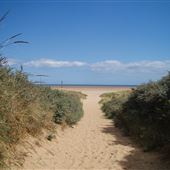 Theddlethorpe Beach