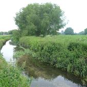 River Lea