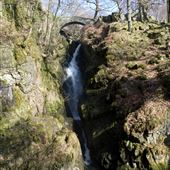 Aira Force