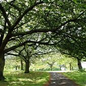 Harlow Town Centre