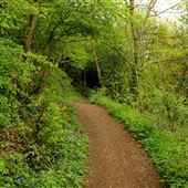Cotwall End Valley Local Nature Reserve