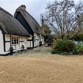 Ivy cottage