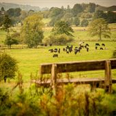 Fordhall Organic Farm