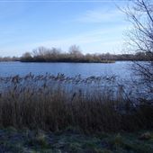 Harrold and Odell Country Park