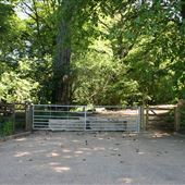 Aspley Woods