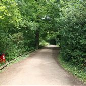 Danbury Country Park