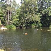 Boxted Mill