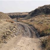 Mary Townley Loop