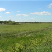 Walberswick Nature Reserve