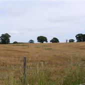 Blundeston Marshes & Heathland