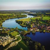 New Forest Activities