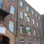 Paradise Mill