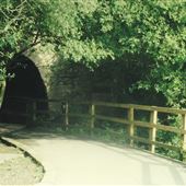 Golden Acre Park