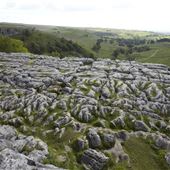 NT - Limestone Pavement, Malham