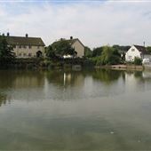 Village Pond, Swanland