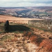 NT - Holme Moor