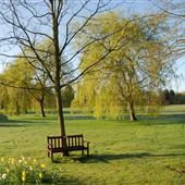 Parkhaven Trust