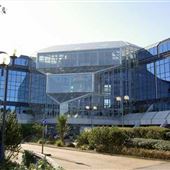 Icon Building
