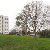 Beaumont House/Moorland House/ Brockwell House