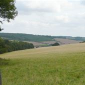 NT - Hoo Wood