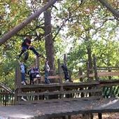 Harwoods Adventure Playground