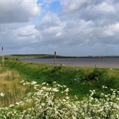 Dartford Marshes