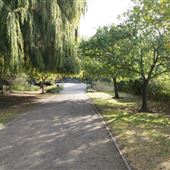 Central Park - Dartford
