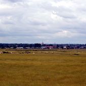 Ham Marshes