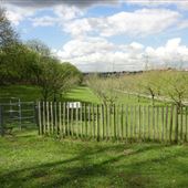 Darenth Country Park
