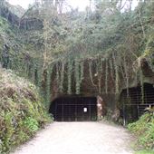 Beer Quarry Caves