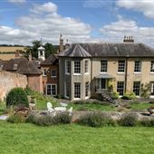 Crocus Farm