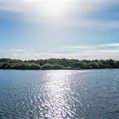 Pennington Flash National Nature Reserve