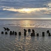 Sandwich Bay Estate
