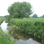 River Lea