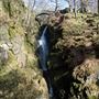 Aira Force