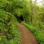 Cotwall End Valley Local Nature Reserve