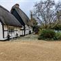 Ivy cottage