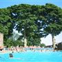 The Lido
