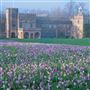 Forde Abbey