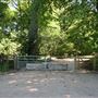 Aspley Woods