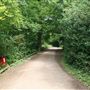 Danbury Country Park