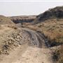 Mary Townley Loop