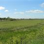 Walberswick Nature Reserve
