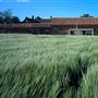 Hall Barn