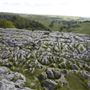 NT - Limestone Pavement, Malham