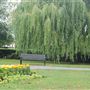 Page Park