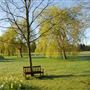 Parkhaven Trust