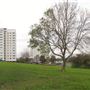 Beaumont House/Moorland House/ Brockwell House