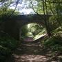 Ayot Greenway