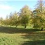 Tring Park